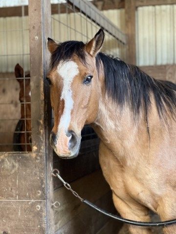 Agency Photo  (189626)