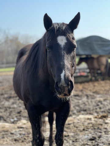 Agency Photo  (189623)