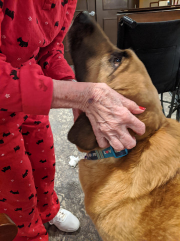 Agency Photo  (172347)