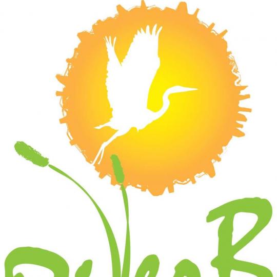 Agency Logo