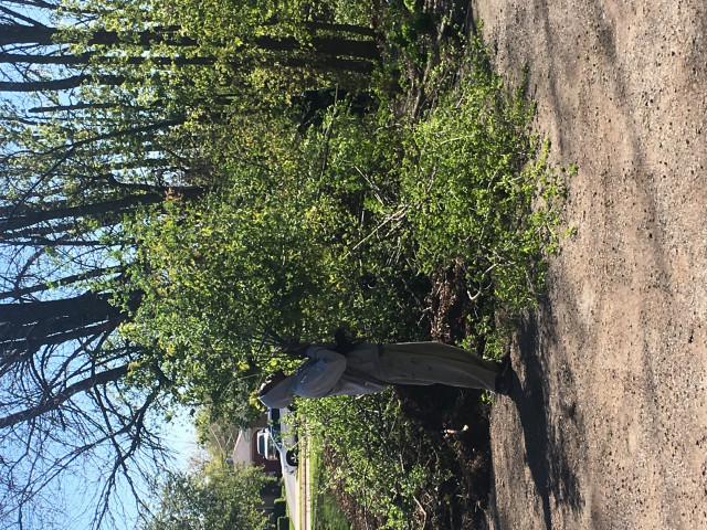 Agency Photo  (153710)