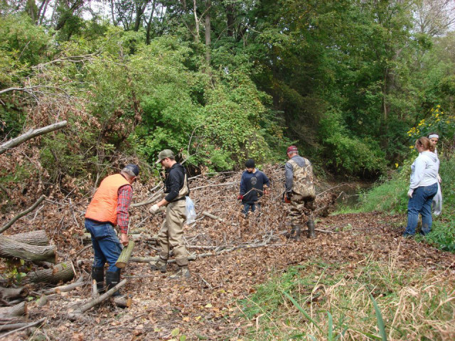 Agency Photo  (153713)