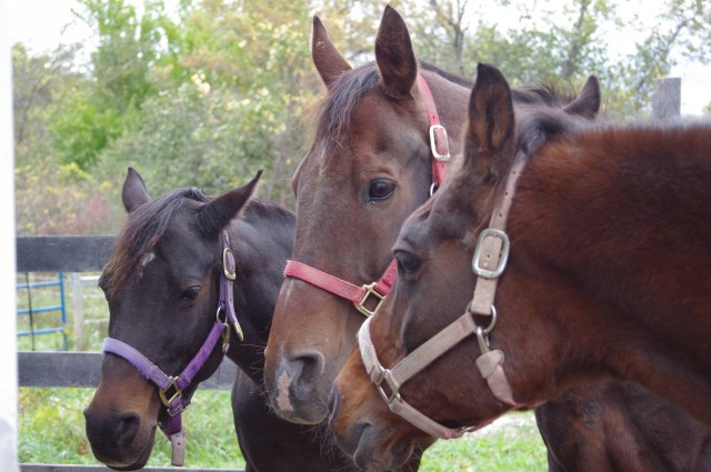 Agency Photo  (54611)