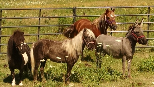 Agency Photo  (54612)