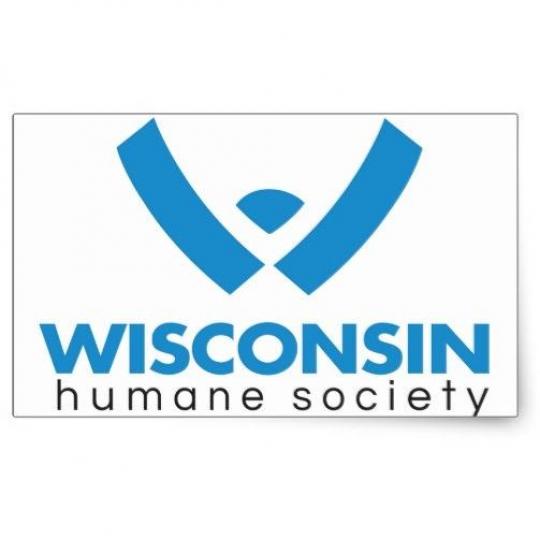 Agency Logo