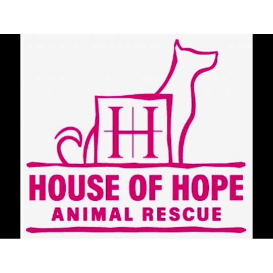 Organization Logo