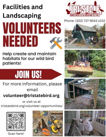 Organization Photo  (200280)