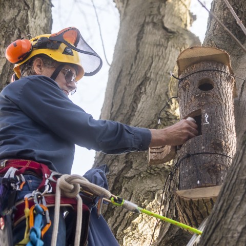 Organization Photo  (200295)