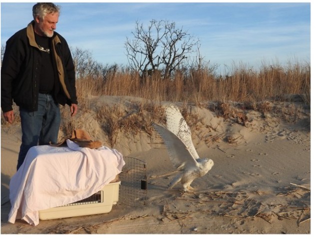 Organization Photo  (200289)