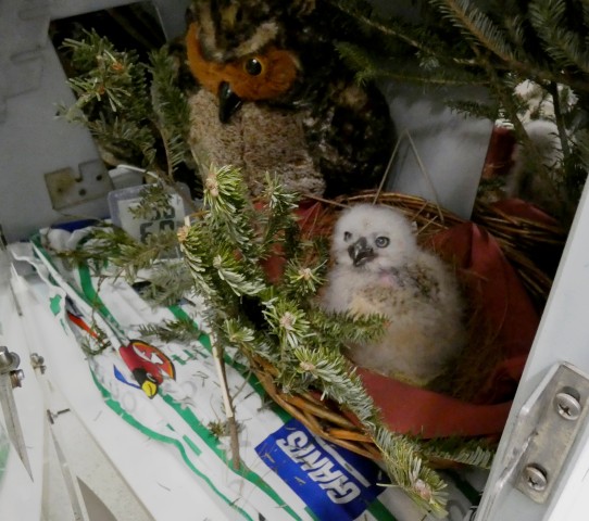 Organization Photo  (200294)