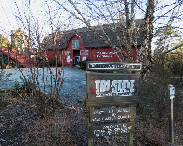 Organization Photo  (200291)