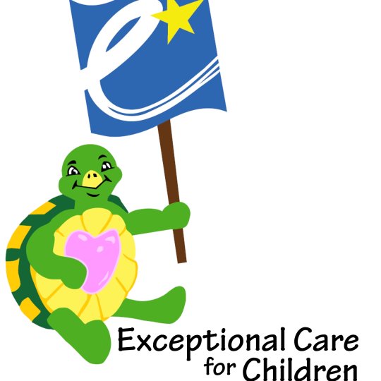 Organization Logo