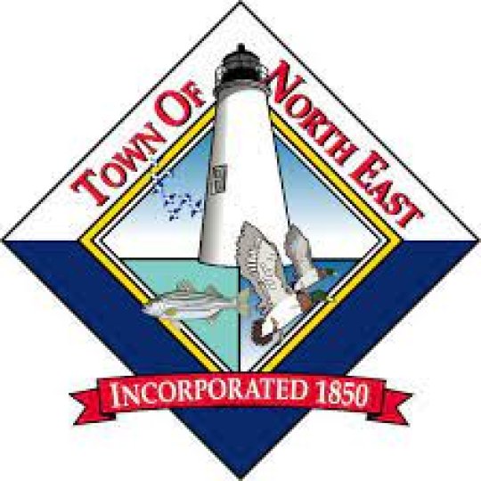 Organization Logo