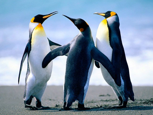 Organization Photo  (110456)