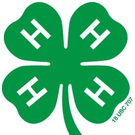 Organization Logo