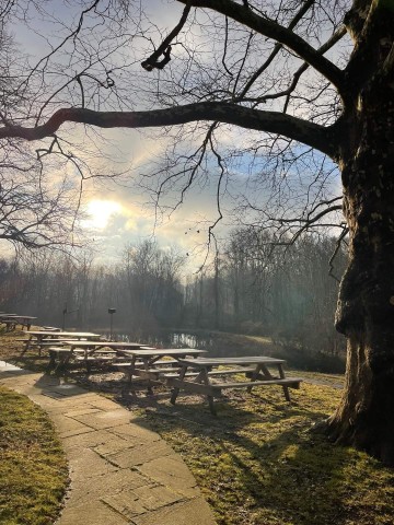 Organization Photo  (203193)