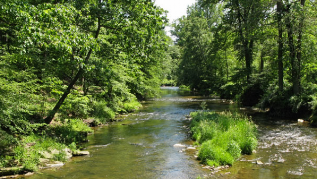 Organization Photo  (53160)