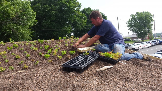 Organization Photo  (90440)