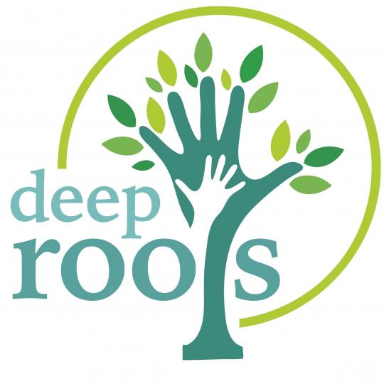 Organization Logo