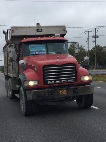 Organization Photo  (100580)