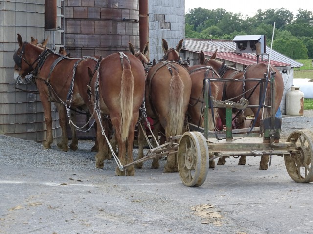 Organization Photo  (99579)