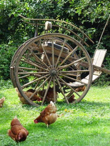Organization Photo  (99578)