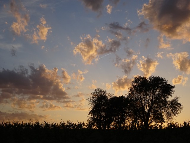 Organization Photo  (99576)