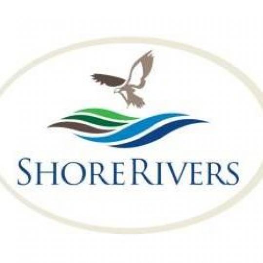 Organization Logo