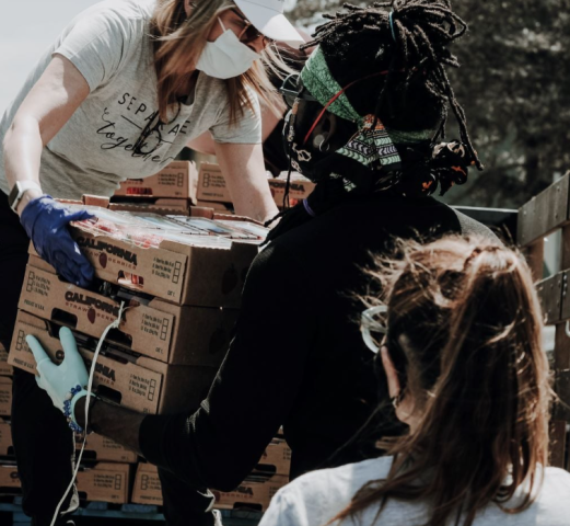 Agency Photo  (267795)