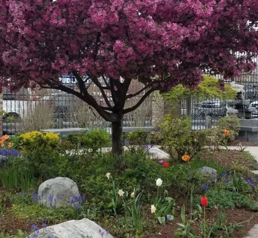 Agency Photo  (239510)