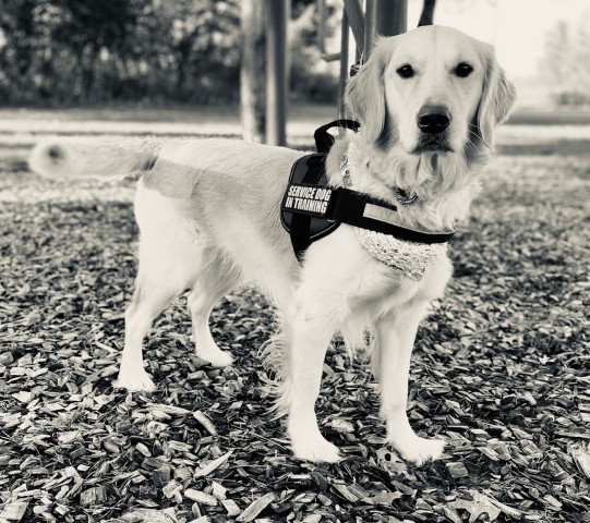 Agency Photo  (182680)