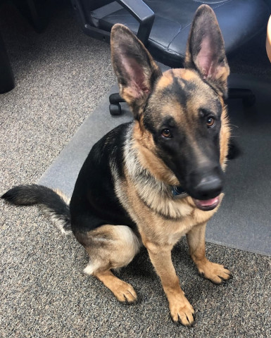 Agency Photo  (152995)