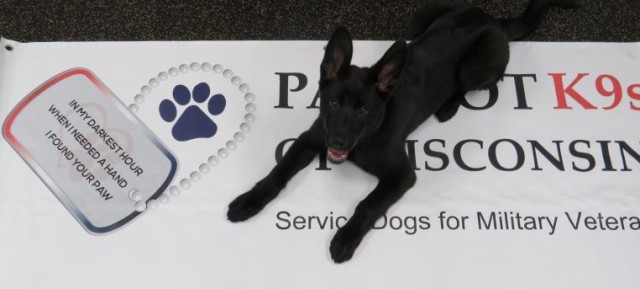 Agency Photo  (182674)