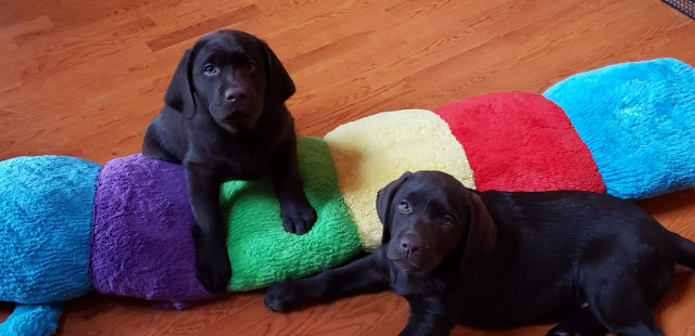 Agency Photo  (152992)