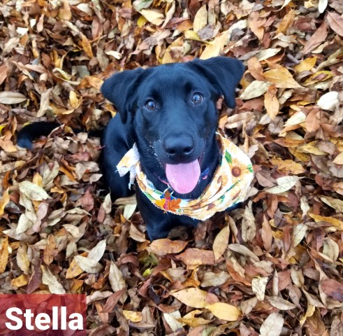 Agency Photo  (182677)