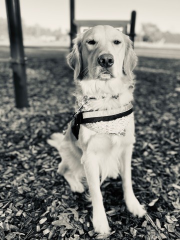 Agency Photo  (182679)