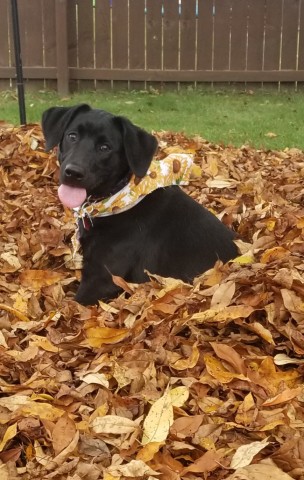 Agency Photo  (182676)