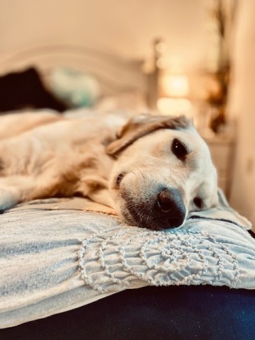 Agency Photo  (182678)