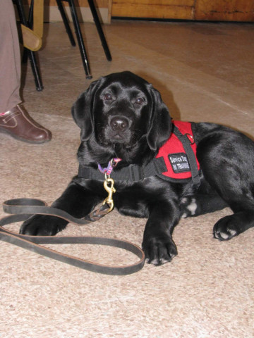 Agency Photo  (152991)