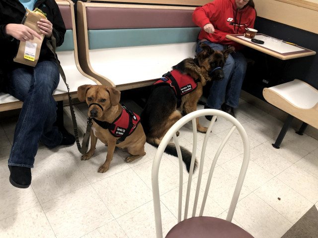 Agency Photo  (152993)