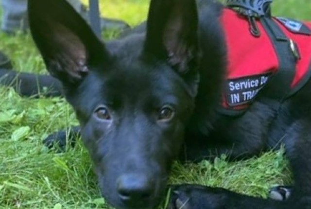 Agency Photo  (182673)