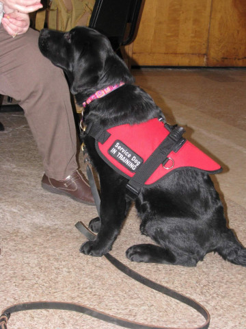 Agency Photo  (152994)