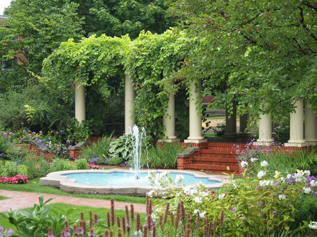 Agency Photo  (170290)