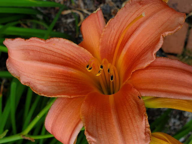 Agency Photo  (172337)