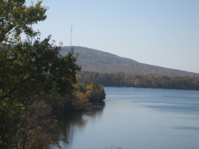 Agency Photo  (46562)