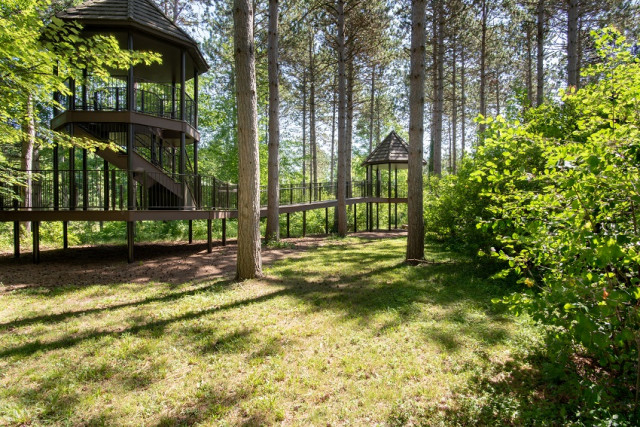 Agency Photo  (122341)