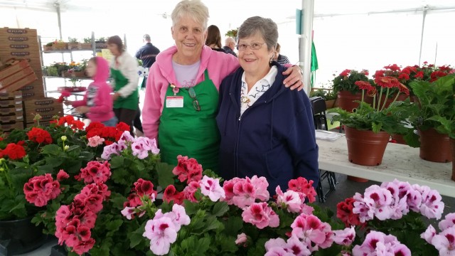 Agency Photo  (47578)