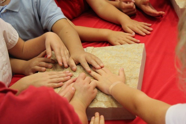 Agency Photo  (75557)