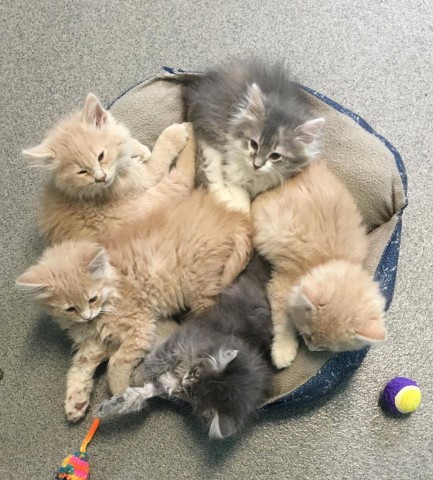 Agency Photo  (65967)