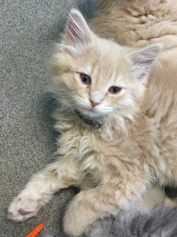 Agency Photo  (65966)